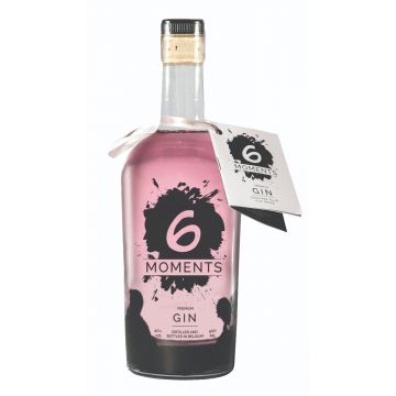 6 Moments Gin fles 50cl