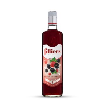 Filliers Bessen jenever fles 70cl