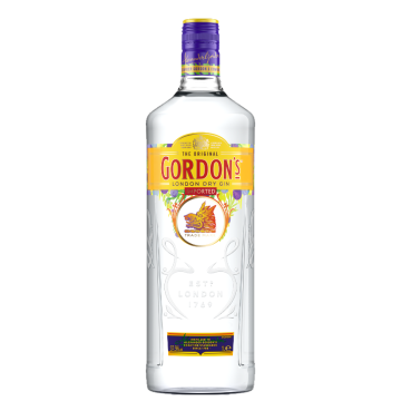 Gordon's London Dry Gin fles 1l