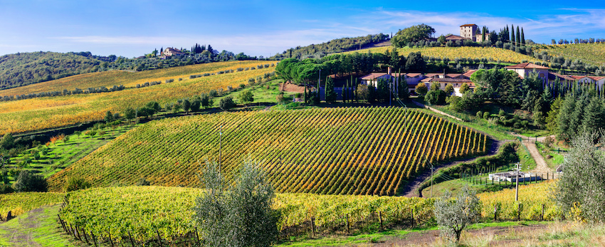 Prik en Tik - Chianti - velden
